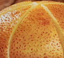 Sesame Flatbread