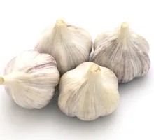 Whole Garlic Dish