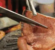 Grilled Squid