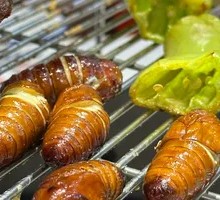 Silkworm Pupa