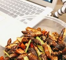Dry-Fried Silkworm Pupae