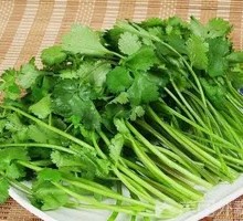Cilantro