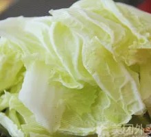 Napa cabbage