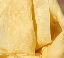 Handmade Fresh Tofu Skin