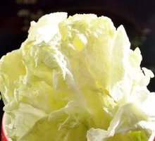 Napa cabbage