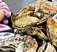 Steamed Oysters