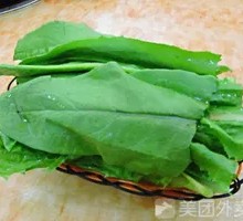 Oilseed lettuce