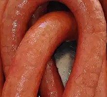 Secret-Recipe Sausage