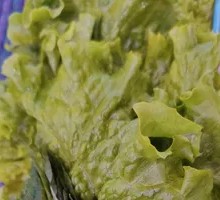 Lettuce