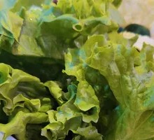 Grilled Vegetable Platter