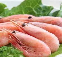 Arctic Shrimp