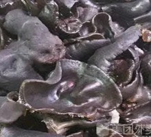 Wood Ear Mushroom
