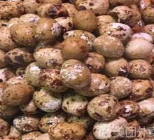 Braised Quail Eggs
