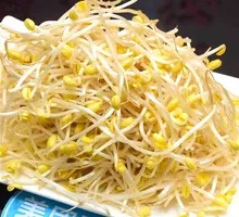 Mung Bean Sprouts