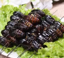 Silkworm pupae