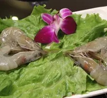 Prawn