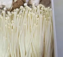 Mountain Mushroom Platter