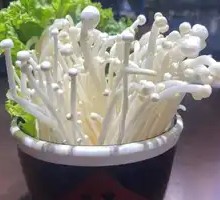 精品金针菇