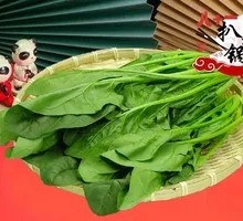 Spinach