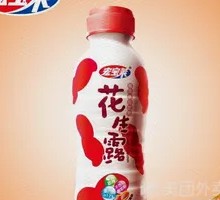 Peanut Milk