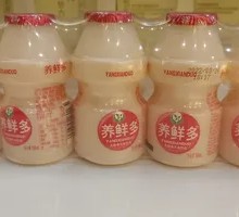 乳酸菌风味饮品