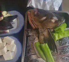 Bighead Carp