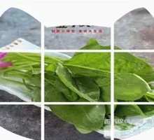 Spinach