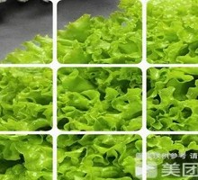 Lettuce