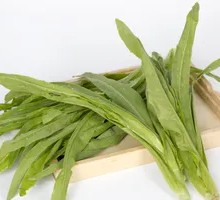 Oilseed lettuce