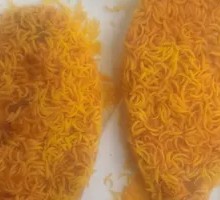 Iron Chicken Cutlet