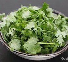 Cilantro