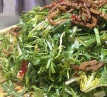 Mixed bitter lettuce salad