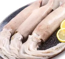 Fresh Squid