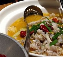 Pickled Pepper Live Frog