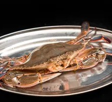 Live Crab