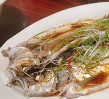 White Knife Fish