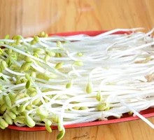 Bean sprouts