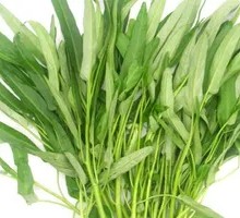 Water spinach