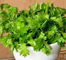 Cilantro