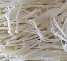 Enoki Mushroom