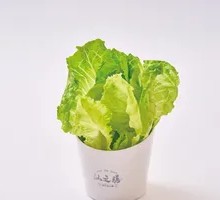 Spring Greens