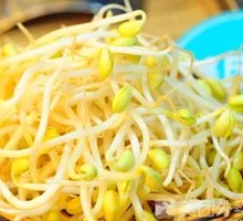 Mung Bean Sprouts