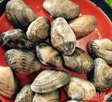 Fresh Clams