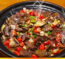 Clay Pot Beefsteak Mushroom