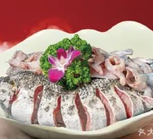 Fish and Frog Medley
