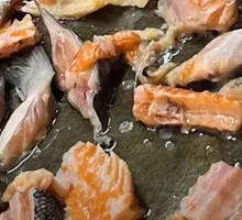 Salmon