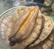 Abalone
