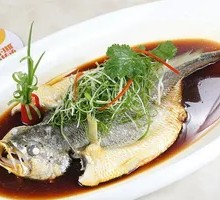 Steamed Cucumber and Fish