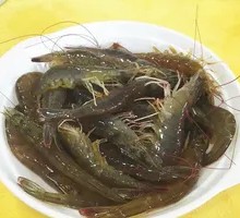 Fresh Shrimp
