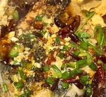 Grilled Fish